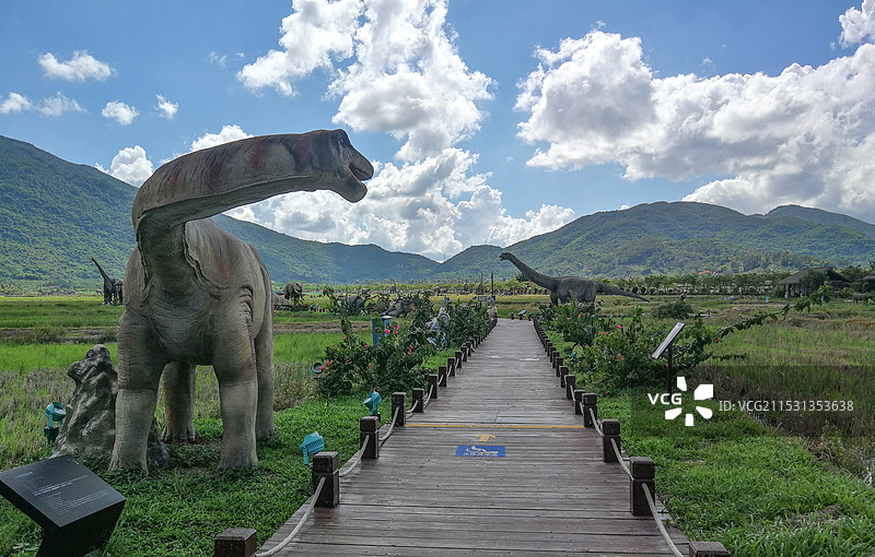 三亚水稻国家公园图片素材