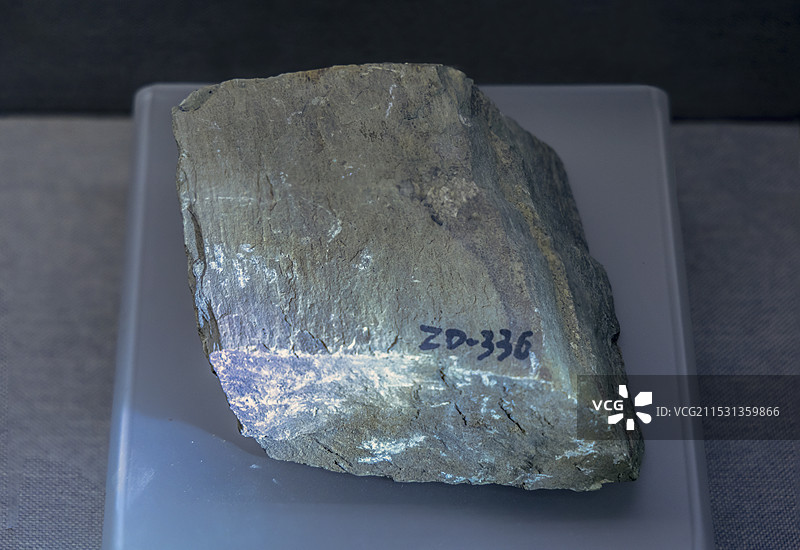 安徽省地质博物馆地球厅：千枚岩（浙江诸暨产）图片素材