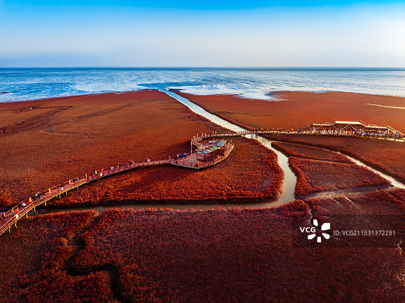 辽宁省盘锦红海滩图片素材