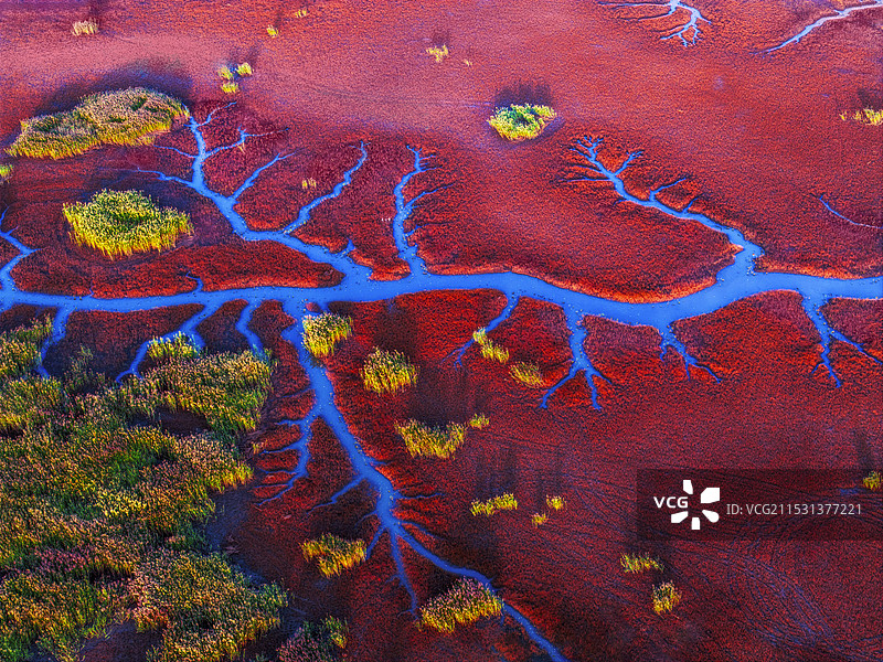 《秋水润红滩》图片素材