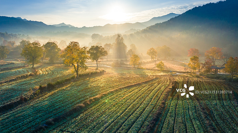 徽州黟县塔川秋色图片素材