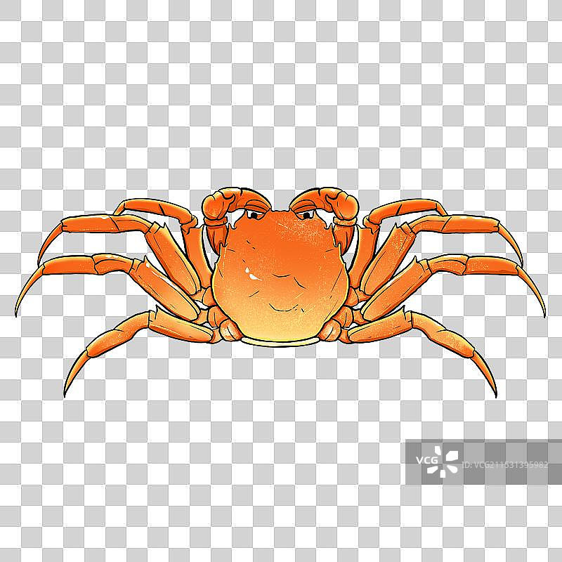 一只螃蟹图片素材
