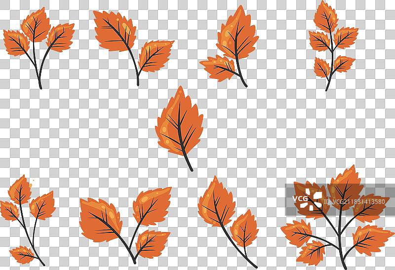 一堆橙色的秋季树叶图片素材