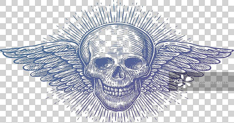 带翅膀的人类头骨，翅膀骷髅头图片素材