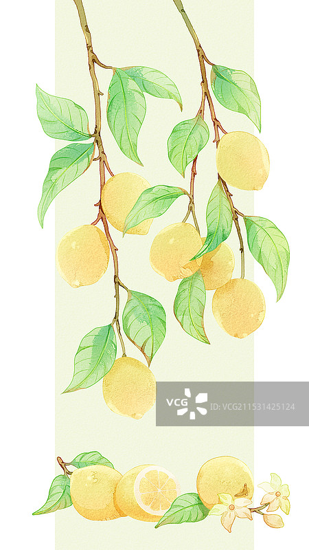 插画节气水果柠檬水彩图片素材