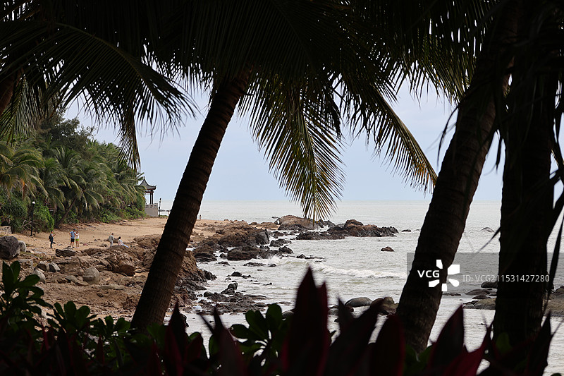 大小洞天三亚道教老子看海南山不老松图片素材