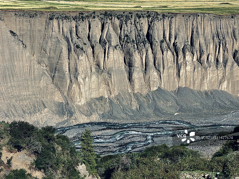 景观中树木的高角度视图图片素材