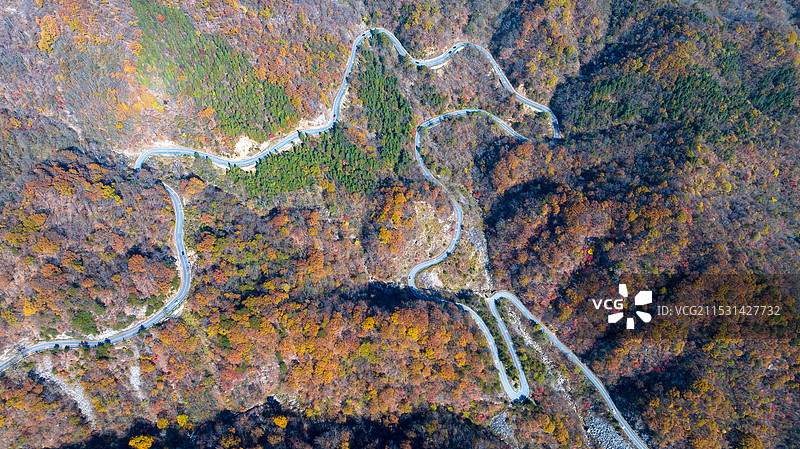 神马奔腾马丁公路图片素材