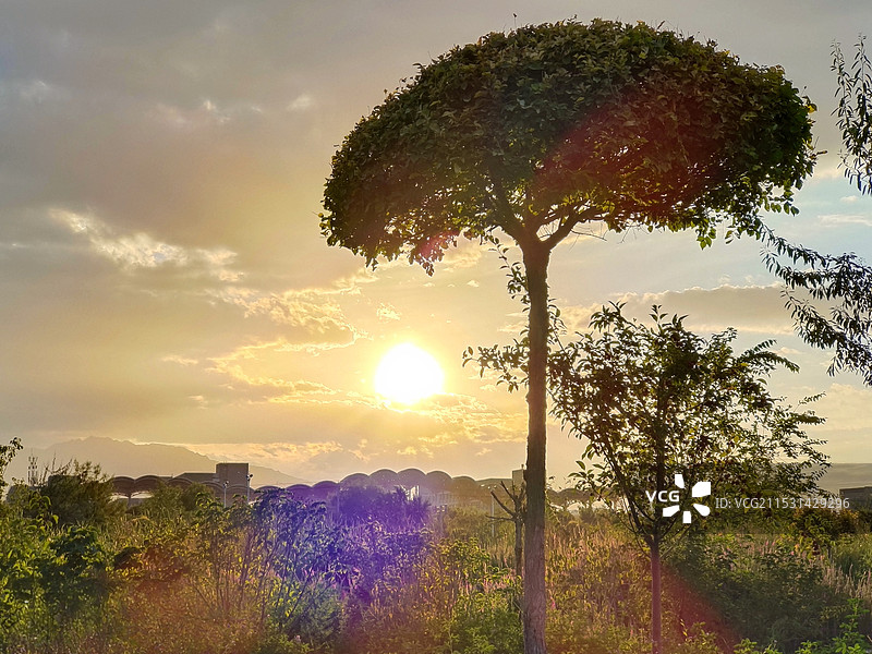 晨阳初升图片素材