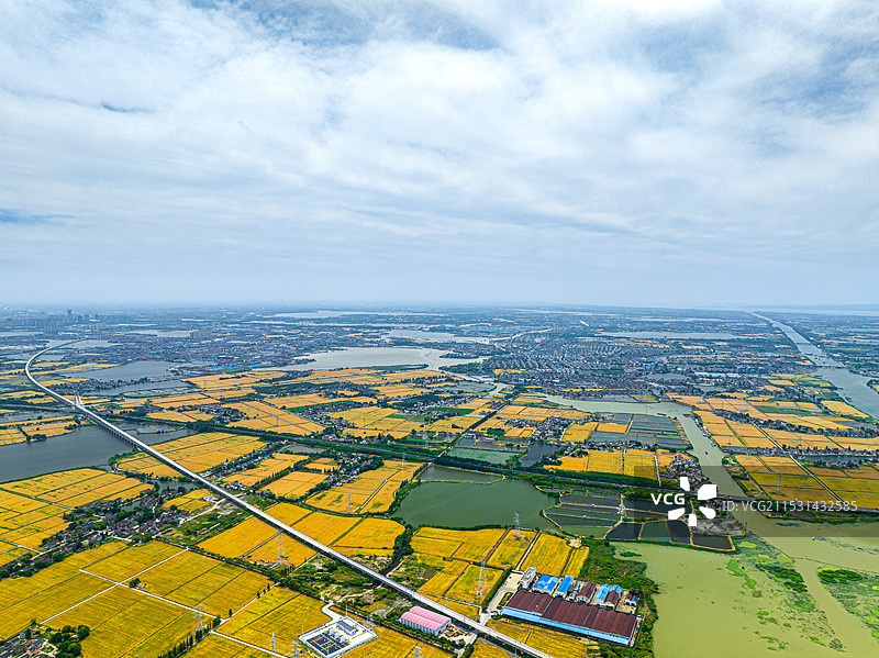 高速铁路穿越金色田野 黎里镇西阳村 沪苏湖高铁苏州吴江段 常台高速 联通江浙沪 淀山湖水系图片素材