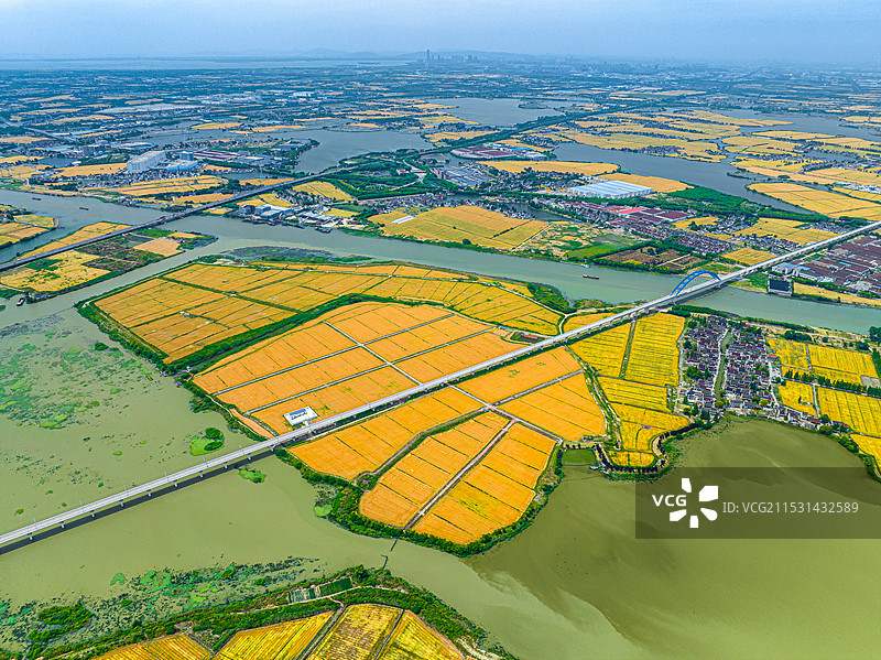 高速铁路穿越金色田野 黎里镇太浦河 沪苏湖高铁苏州吴江段 联通江浙沪 淀山湖水系图片素材