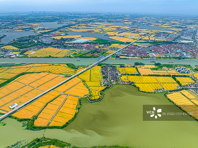 高速铁路穿越金色田野 黎里镇下丝村牛头荡 沪苏湖高铁苏州吴江段太浦河桥 联通江浙沪 淀山湖水系图片素材