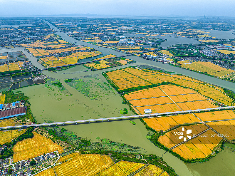高速铁路穿越金色田野 黎里镇杨家荡 常台高速 沪苏湖高铁苏州吴江段 联通江浙沪 淀山湖水系图片素材