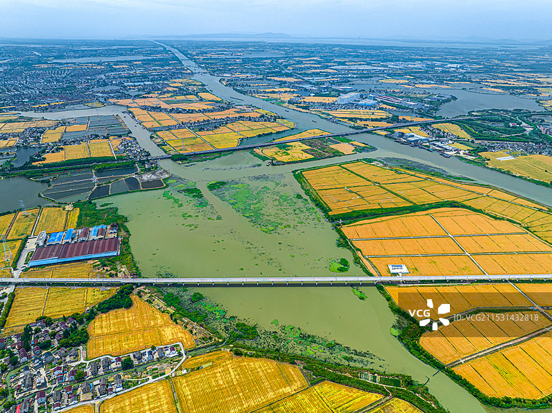 高速铁路穿越金色田野 黎里镇杨家荡 太浦河 常台高速 沪苏湖高铁苏州吴江段 联通江浙沪 淀山湖水系图片素材