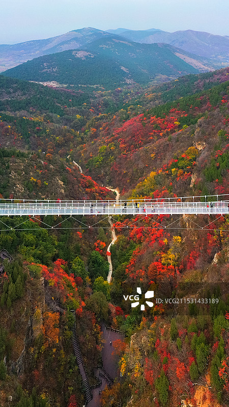 万山红遍+安徽省宿州市萧县官桥镇皇藏峪国家森林公园-竖幅图片素材