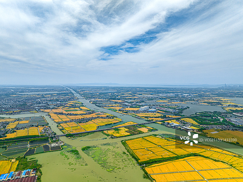 太浦河 江南鱼米之乡金色田野风光 淀山湖水系 苏州吴江黎里镇杨家荡图片素材