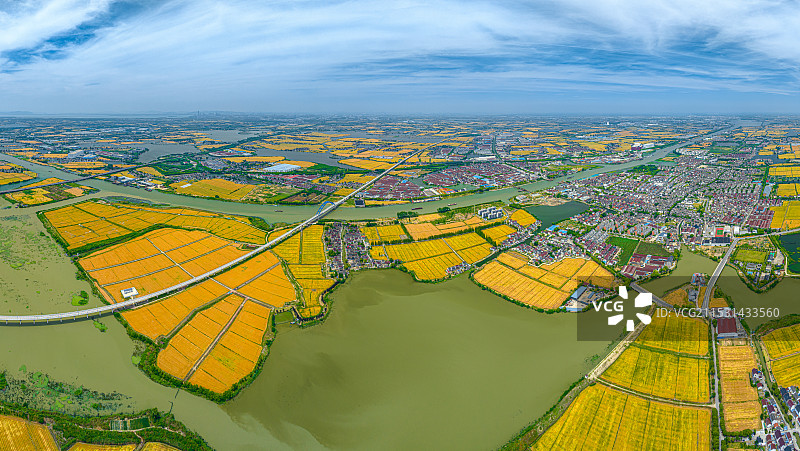 太浦河 江南鱼米之乡金色田野风光 淀山湖水系 苏州吴江黎里镇牛头荡图片素材