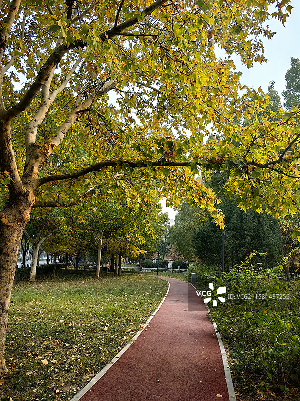 绿道一景图片素材