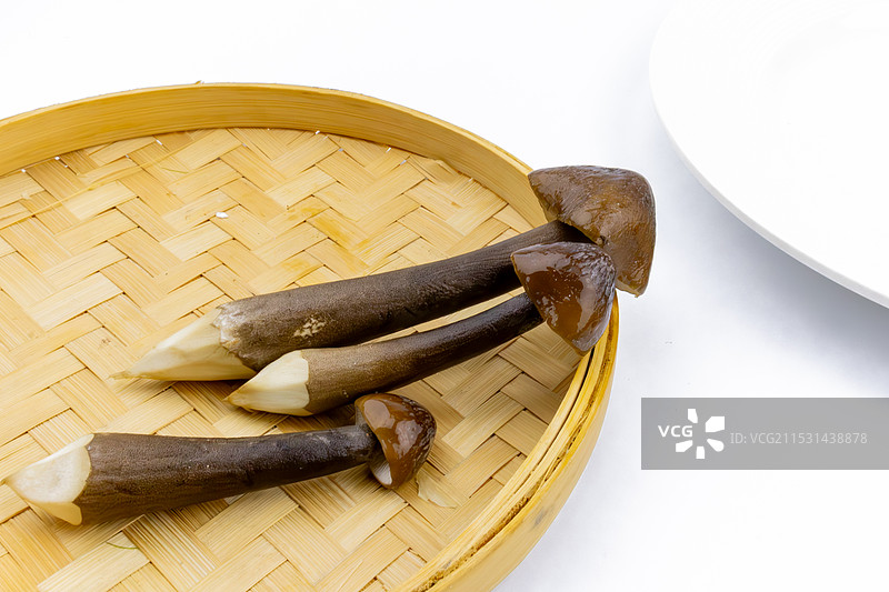 黑皮鸡枞菌图片素材