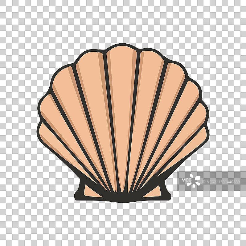 贝壳剪影艺术图片素材