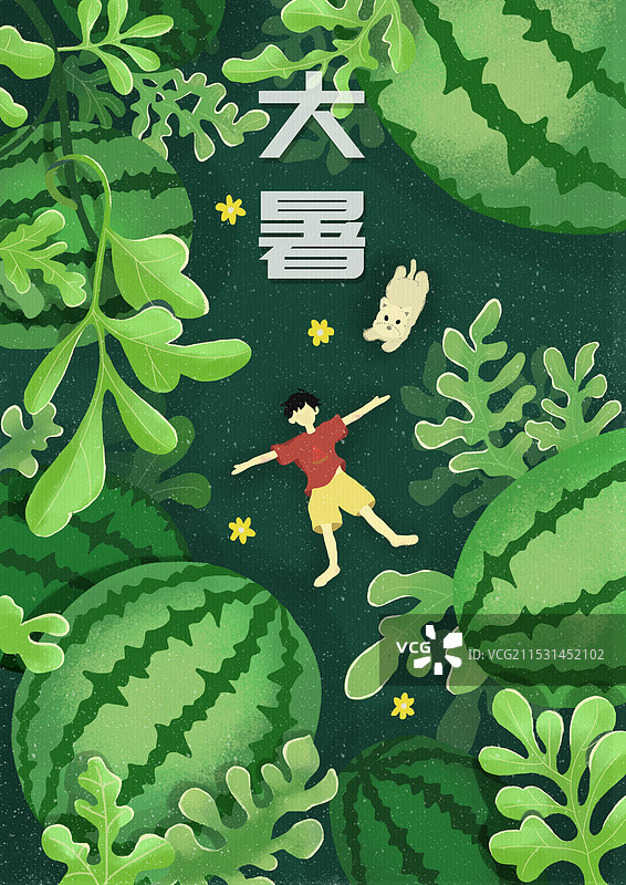 大暑-西瓜丛里的男孩图片素材