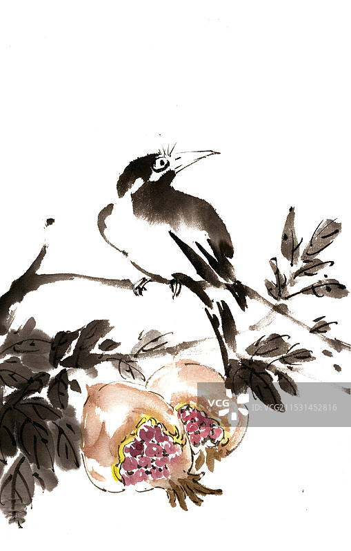 石榴与小鸟图片素材