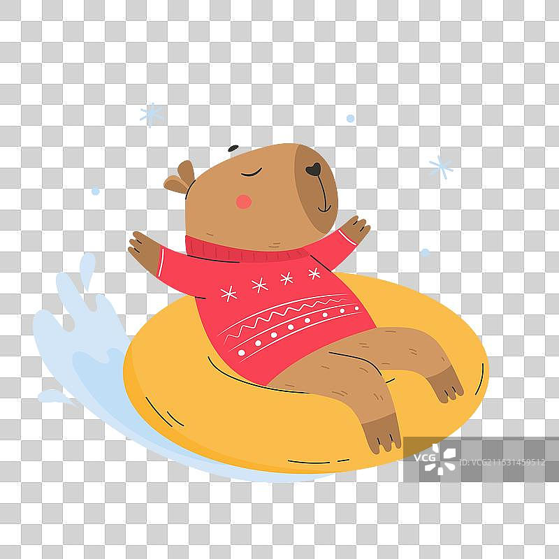 可爱的搞笑水豚在冬季户外滑雪圈图片素材