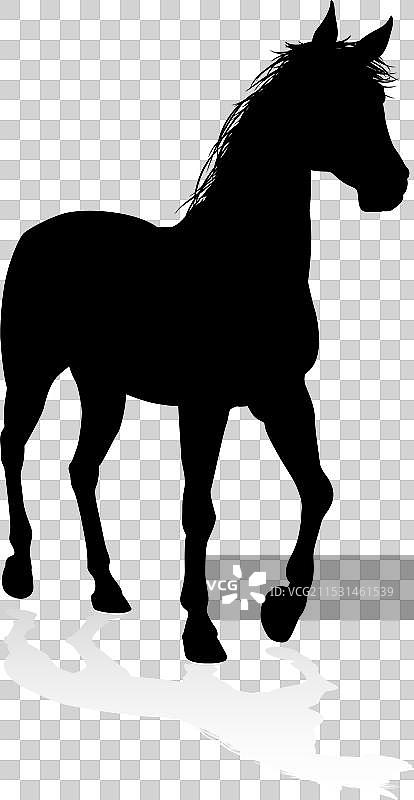 马的动物剪影图片素材