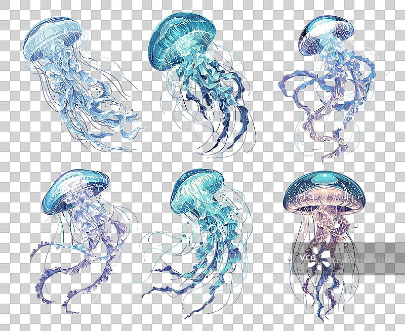 水母 海洋动物 水下 海洋图片素材