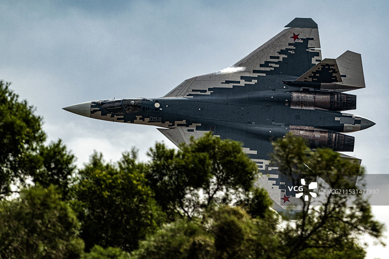 苏-57超低空略过树梢瞬间……图片素材