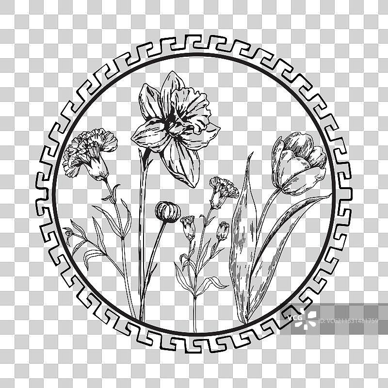 黑白花卉手绘图像图片素材