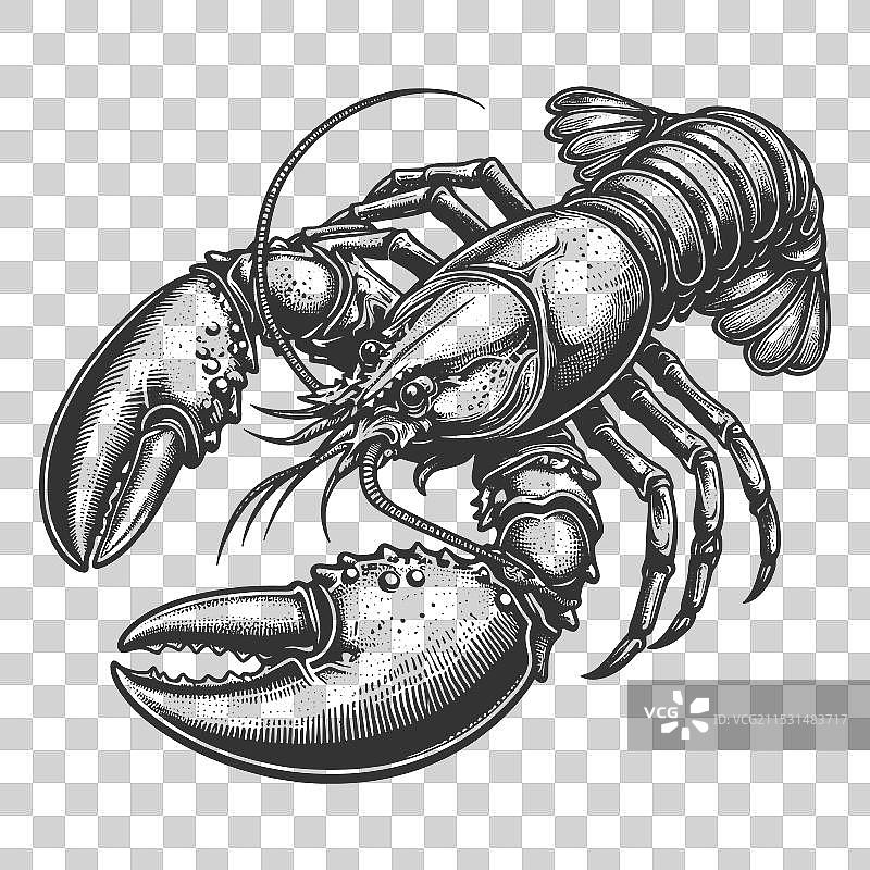 龙虾雕刻草图图片素材