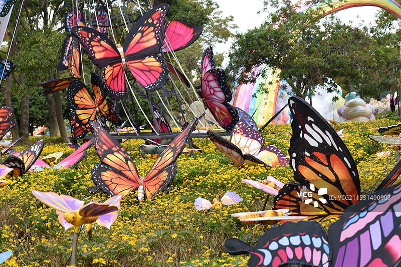 彩蝶纷飞图片素材