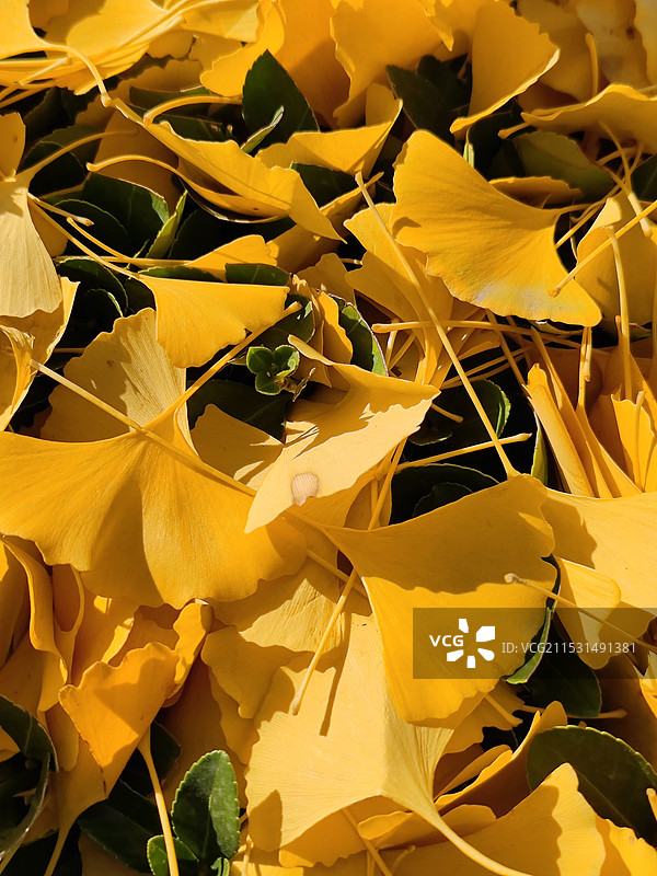 拍摄创意及美感解析图片素材