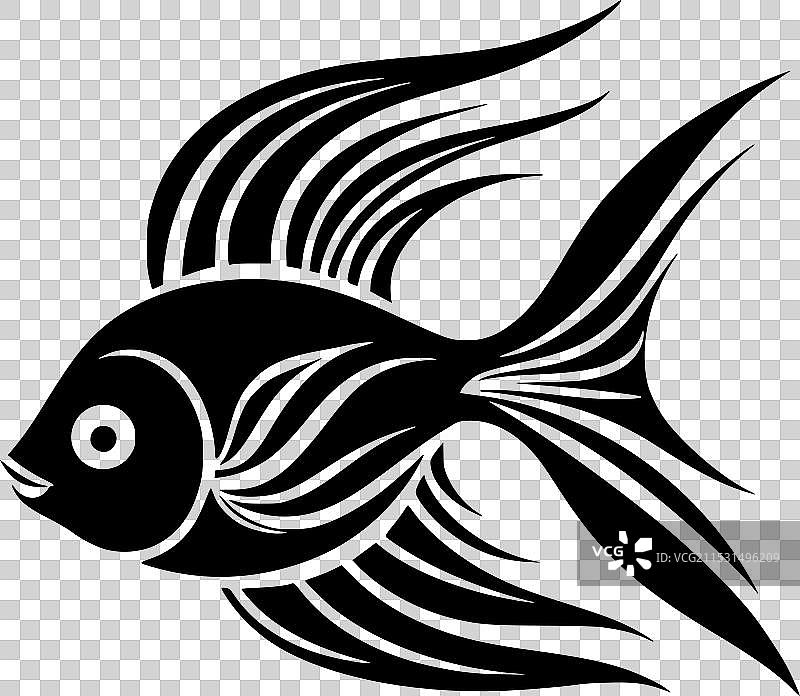 黑白天使鱼图片素材