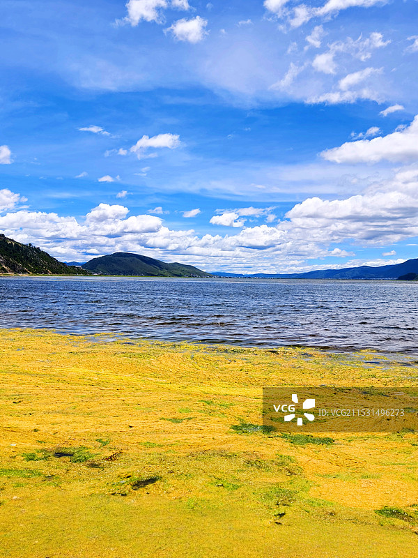 香格里拉纳帕海风光图片素材
