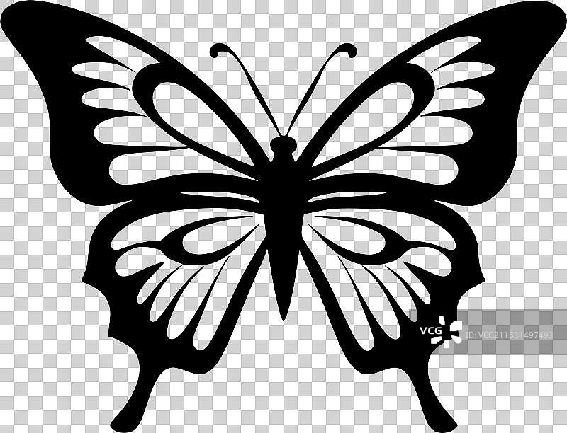 蝴蝶 - 极简风格的平面logo图片素材