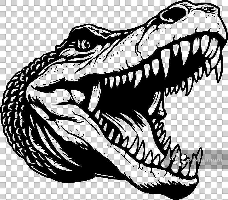 鳄鱼 - 极简和简单的轮廓图片素材