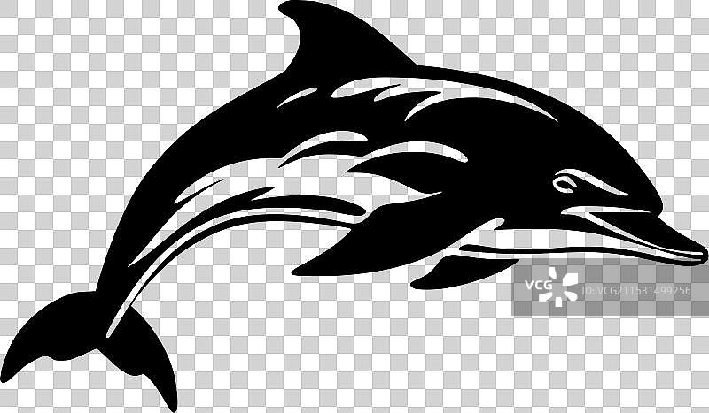 黑白孤立的海豚图标图片素材