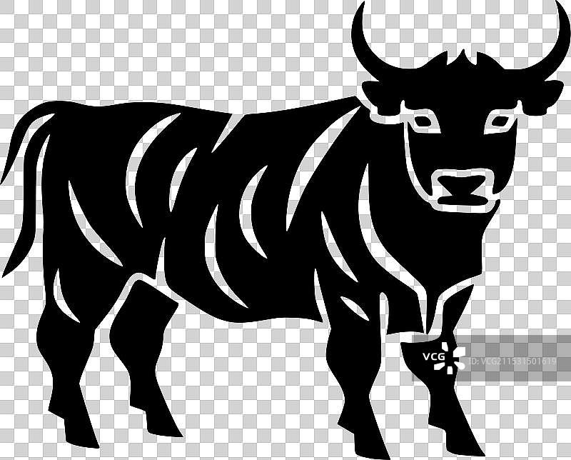 高地牛 - 黑白色图片素材