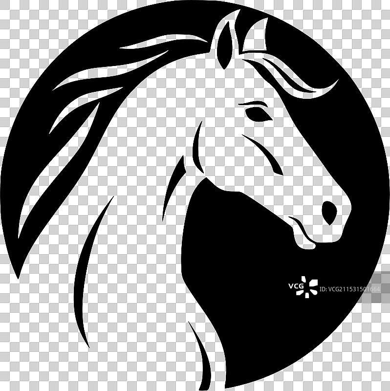 黑白马图片素材