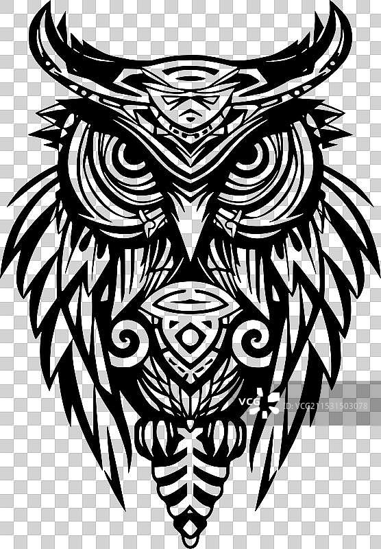 猫头鹰 - 极简和简单的轮廓图片素材