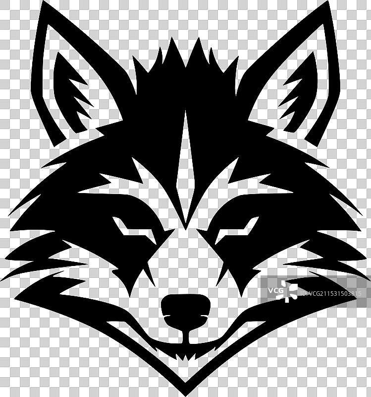 浣熊 - 黑白色图片素材