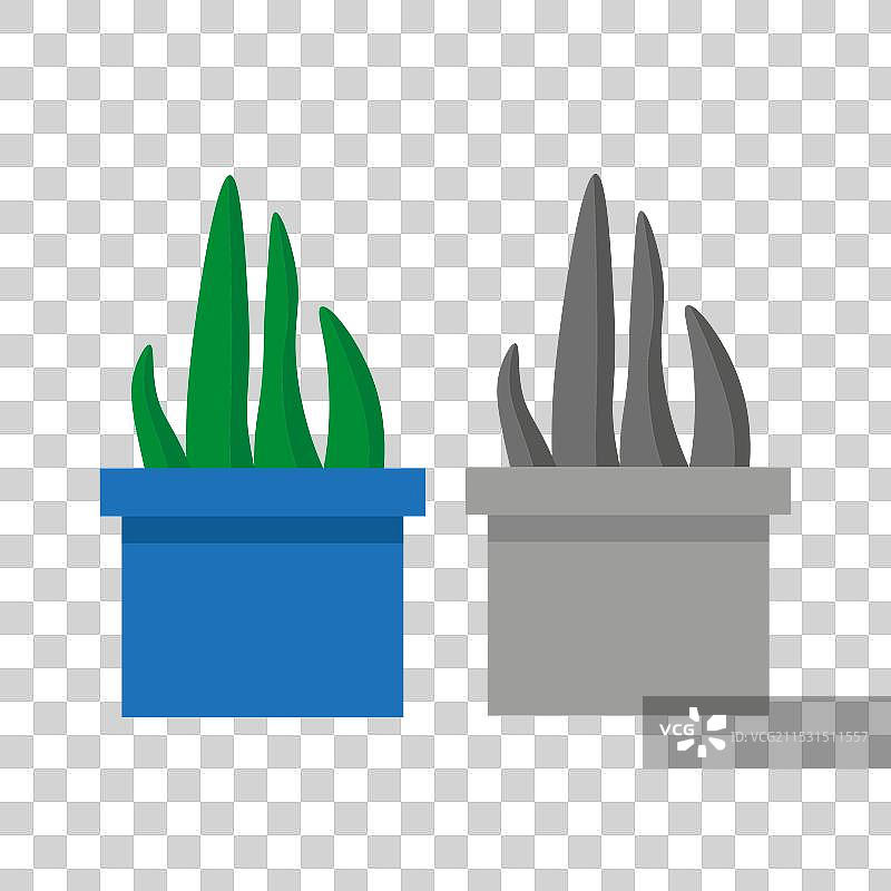 现代风格的卡通花盆，背景为白色图片素材