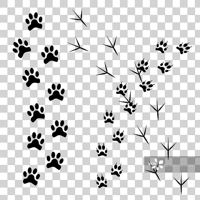 狼猫的足迹剪影图片素材