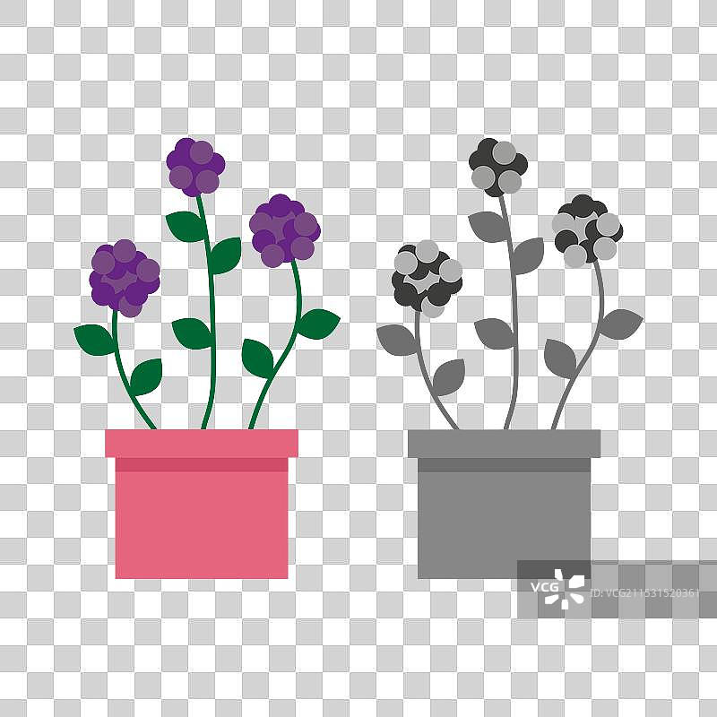 现代风格的卡通花盆，背景为白色图片素材