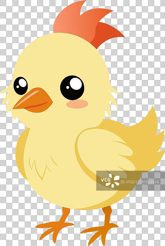 小鸡颜色7图片素材