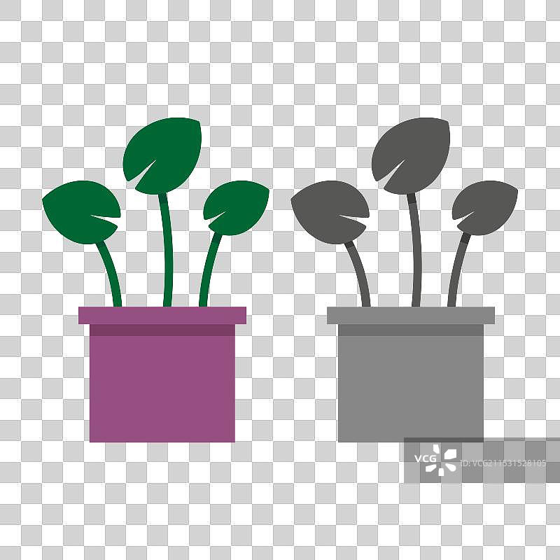 现代风格的卡通花盆，背景为白色图片素材