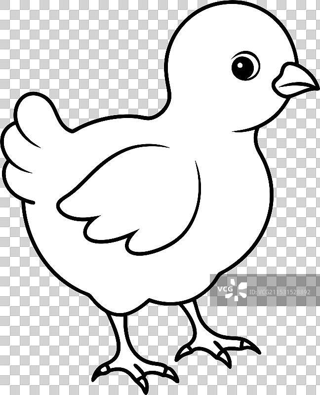 小鸡剪影 5图片素材