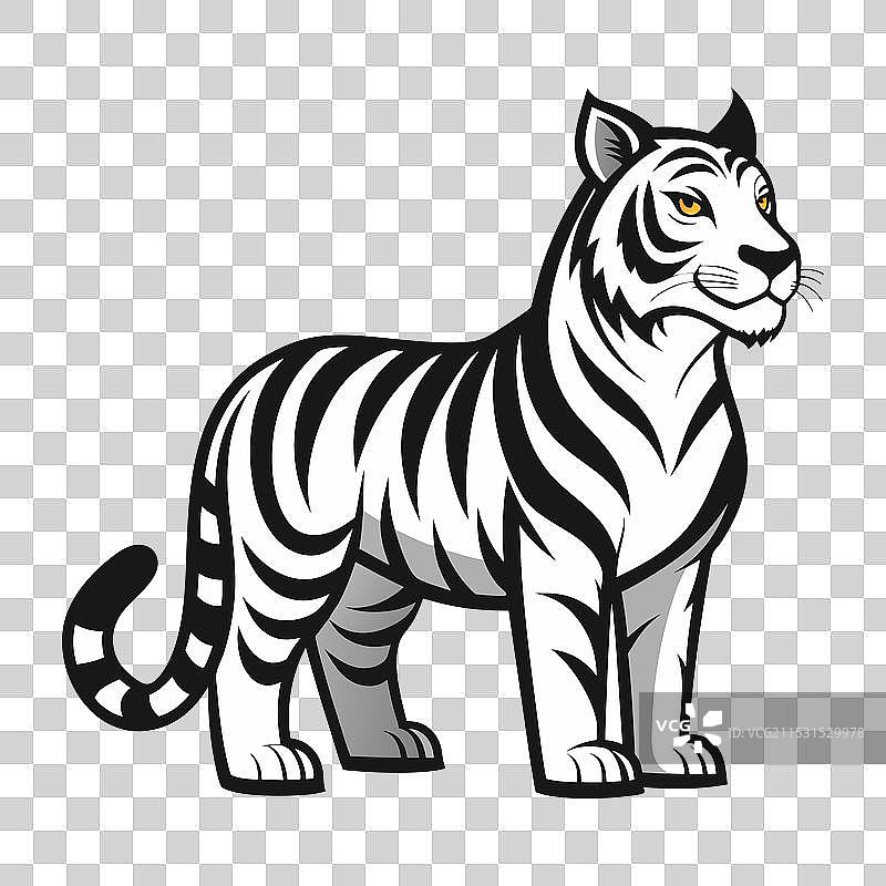 凶猛的老虎图形设计，带有大胆的条纹图片素材